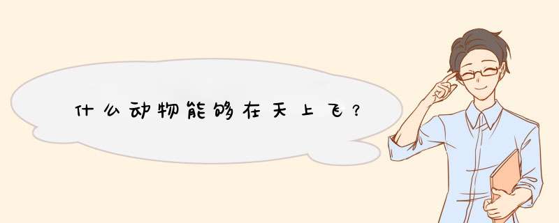 什么动物能够在天上飞？,第1张