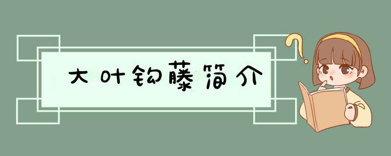 大叶钩藤简介,第1张