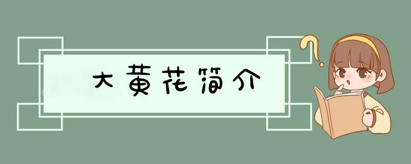 大黄花简介,第1张