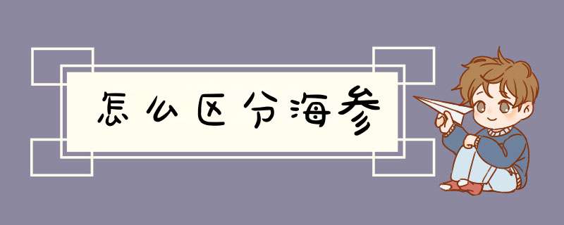 怎么区分海参,第1张