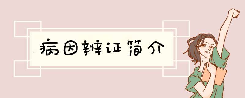 病因辨证简介