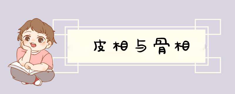 皮相与骨相,第1张