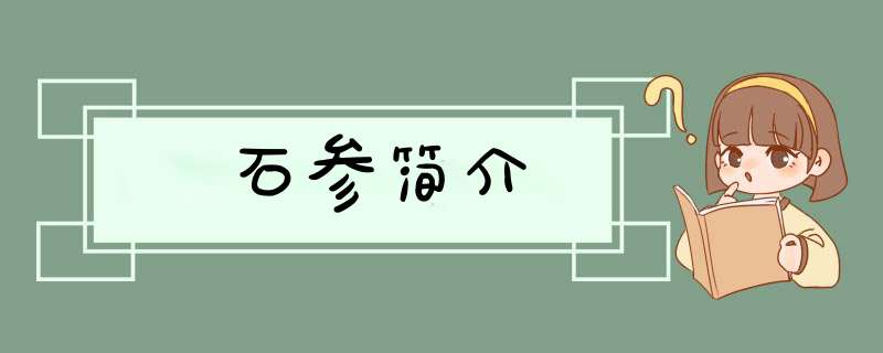 石参简介,第1张