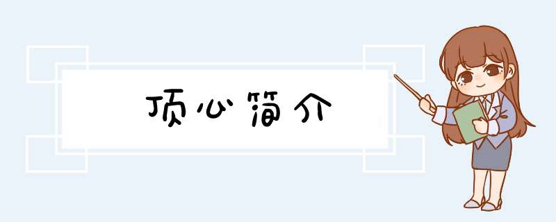 顶心简介,第1张