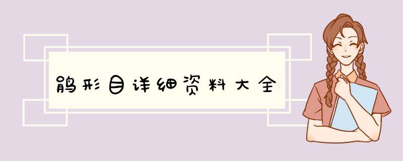 鹃形目详细资料大全,第1张