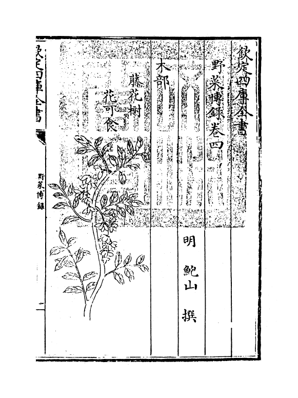 11515-野菜博录卷四 (明)鲍山.pdf_第3页