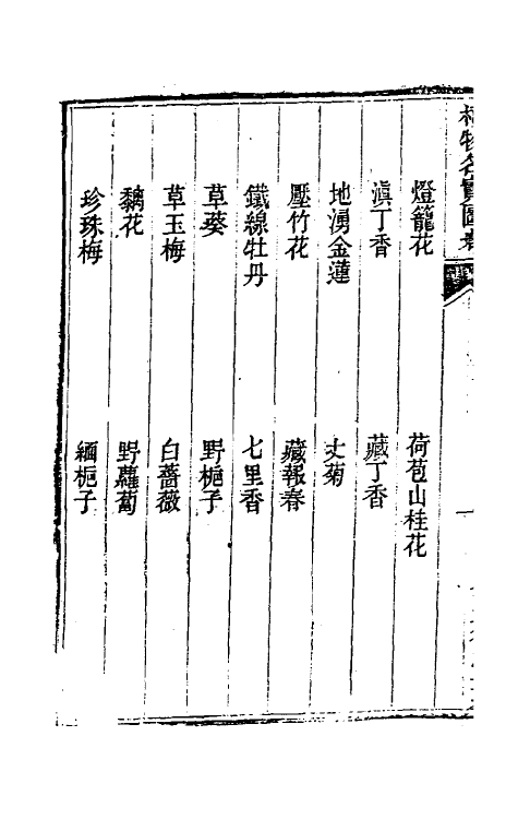 38848-植物名实图考二十七 (清)吴其浚撰.pdf_第3页