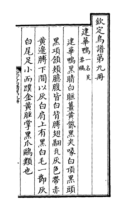 38855-钦定鸟谱六 不著撰者.pdf_第2页