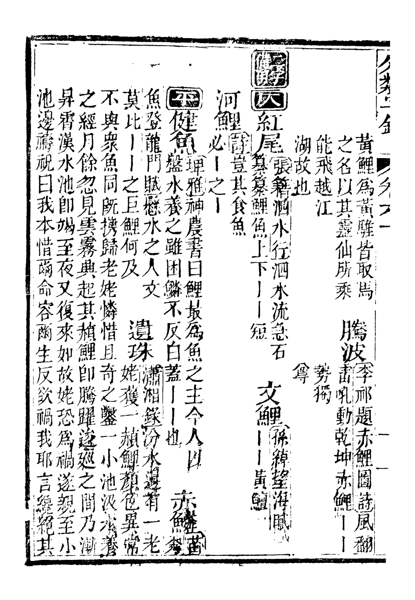 99654-分類字錦_何焯等奉敕纂 .pdf_第3页